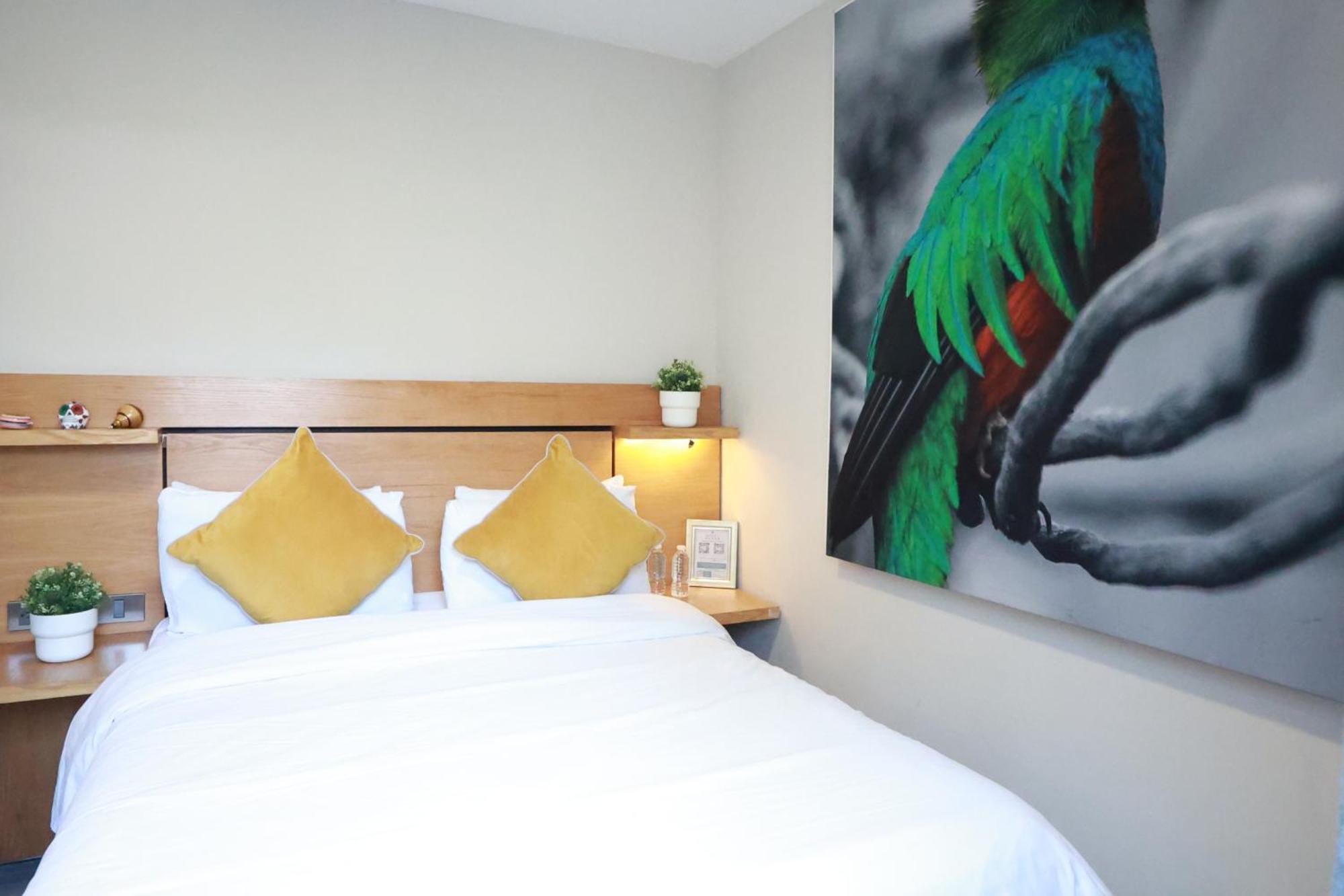 Casa Panuco Bed & Breakfast Kota Meksiko Bagian luar foto