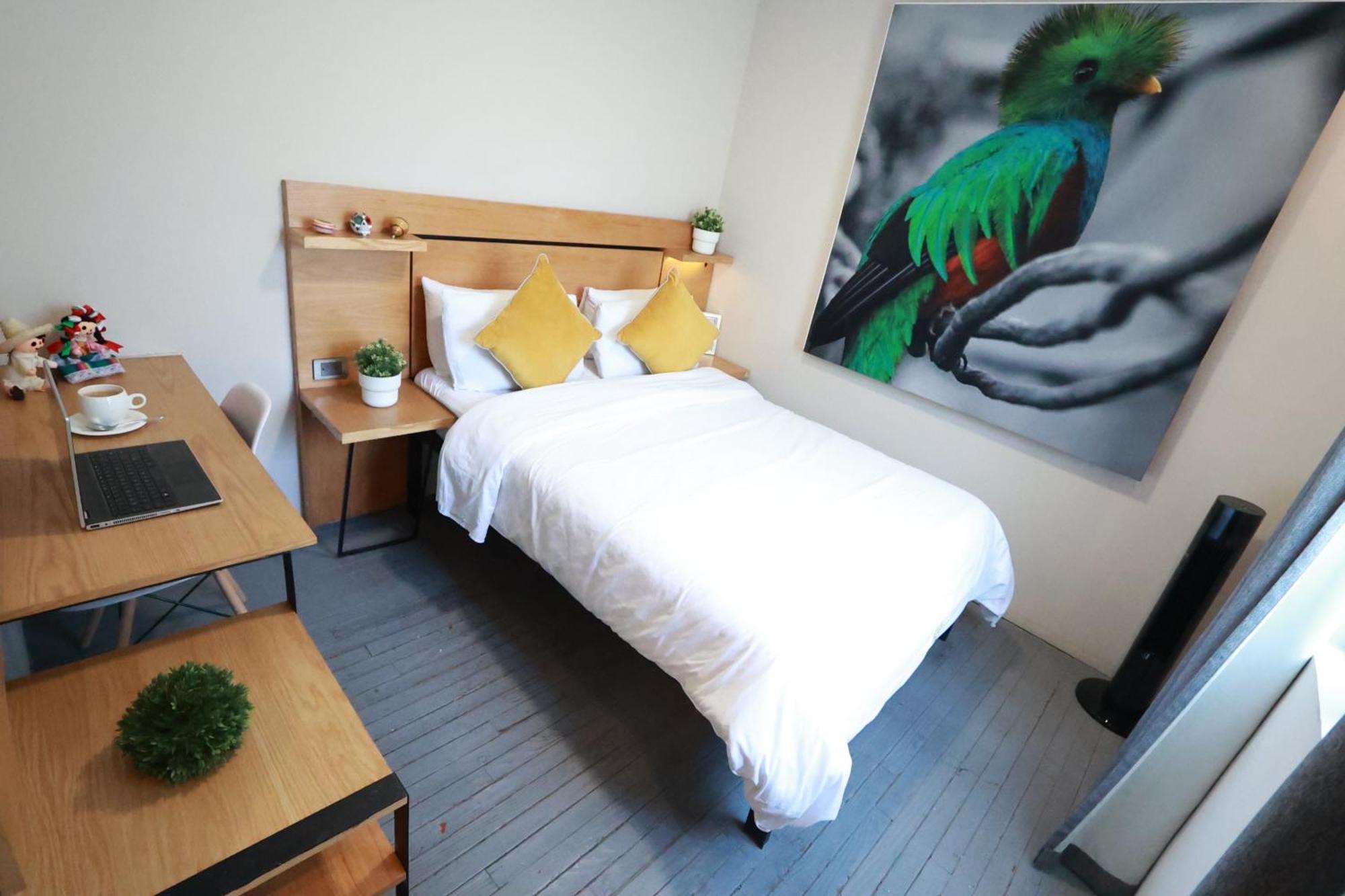 Casa Panuco Bed & Breakfast Kota Meksiko Bagian luar foto