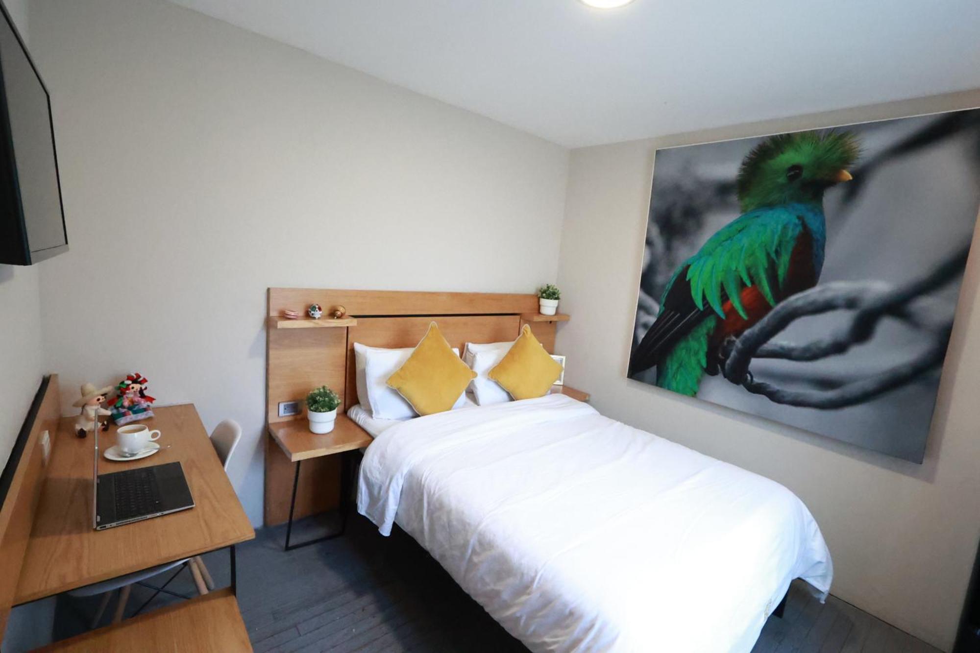 Casa Panuco Bed & Breakfast Kota Meksiko Bagian luar foto